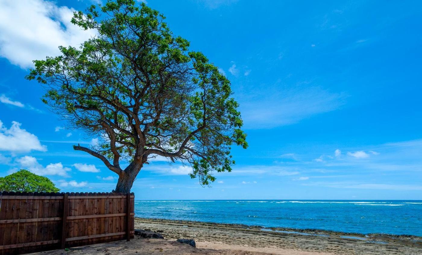 Kauai Kailani 218 Apartman Kapa'a Kültér fotó